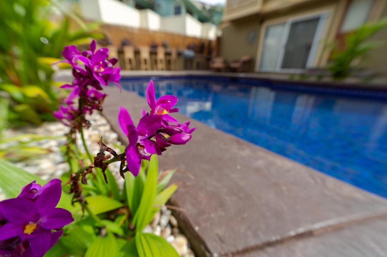 Studio With Mini Kitchen, Pool And Bbq, Pre-Renovation Summer Sale キヘイ エクステリア 写真